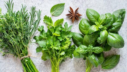 fresh organic herbs and spices element or ornament isolated over a transparent background arranged bunches leaves blades and chopped pieces of parsley chives basil and mint top view flat lay - obrazy, fototapety, plakaty