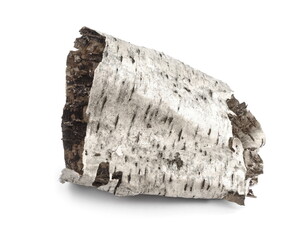 Isolated piece of birch bark on the white. Bark of birch wooden background.