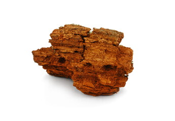Decorative part of red wood isolated over white background. Cracked dry red wood as a decorative design element.
