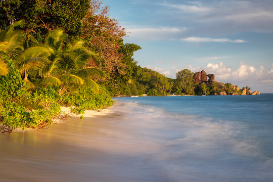 Scenic view of a ropical beach with palm trees and sand in sunlight and turquoise blurred waves in Seychelles