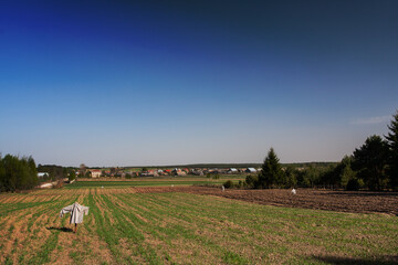 A rural landscape with a veil and a settlement in the background - 755101538