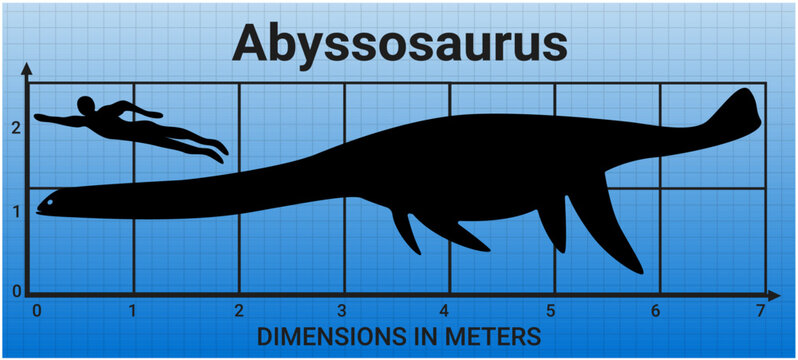 Sea monsters. Comparing the size of Abyssosaurus to the average adult human male (1.8 meters). 