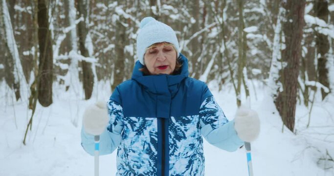 A happy elderly woman in a blue tracksuit rides classic skis through a snowy winter forest and admires the beauty around her. Cardio training in the retirement air in nature. High quality 4k footage