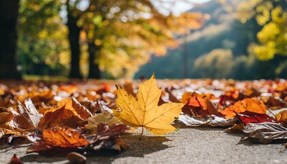 Naklejka na ściany i meble autumn leaves lying on the floor