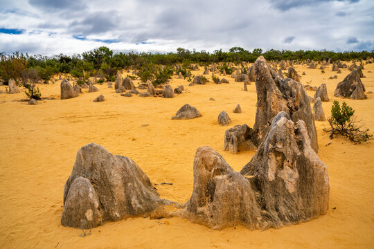 Lunar lanscape of the Pinnacles Desert at Nambung National Park, Western Australia, Australia