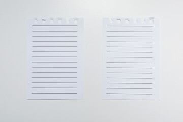 Two torn lined pages from a notebook on a white horizontal background. Notebook paper with horizontal lines. Lined paper with space for text, note, list. Close-up of lined papers torn from a notebook