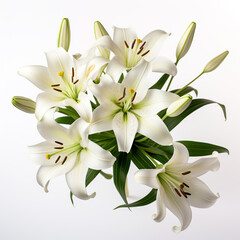 Fototapeta premium Lily, white background, professional photo сreated with Generative Ai