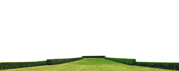 green grass field with green hedges isolated png