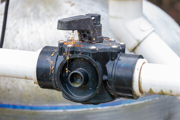 Photograph of an inline water valve on PVC pipe connected to a swimming pool pump that is covered...