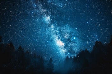 Fototapeta na wymiar Night Sky Filled With Stars