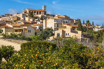 Obraz premium Villagescape of Selva with gothic catholic parish church Esglés