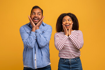 Amazed young black couple with hands on cheeks showing surprised expressions