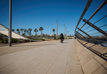 Rear view of unrecognizable person riding bicycle along the promenade marine. © Taras Grebinets