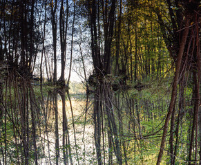 lake in the forest, nacka,sverige,swedenstockholm,Mats