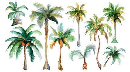 Palmen Elemente Tropisch Wasserfarben Aquarell Pflanzen Palme Sommer Set 