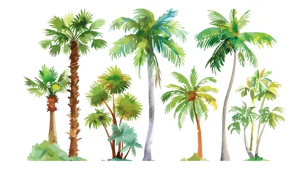 Abwaschbare Fototapete Palmen Tropisch Pflanzen Sommer Palme Wasserfarben Aquarell Set  © THM