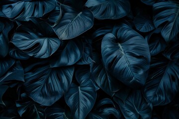 Dark and mysterious tropical leaf textures Presenting an abstract and dramatic backdrop for bold and creative visual projects - obrazy, fototapety, plakaty