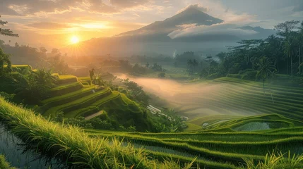 Papier Peint photo autocollant Rizières A serene sunrise over the rice terraces, with the early morning light casting a golden glow over the lush green fields. Generative AI.
