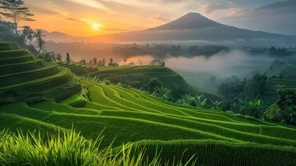 Foto op Plexiglas A serene sunrise over the rice terraces, with the early morning light casting a golden glow over the lush green fields. Generative AI. © visoot