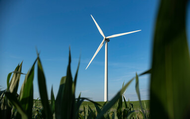 wind turbines farm corn © Andrew