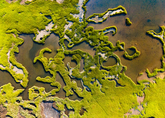 Marsh Abstract 3