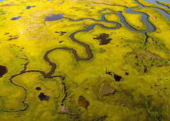 Marsh Abstract 1