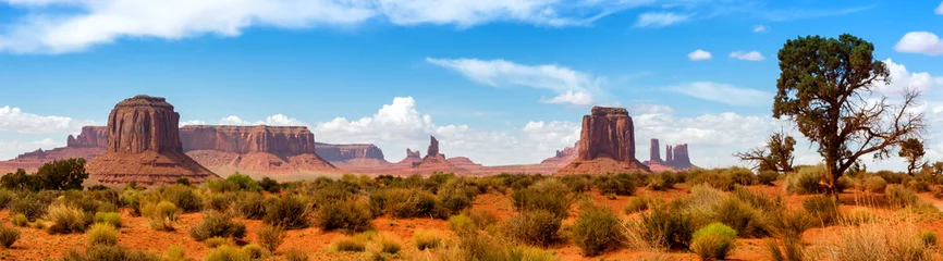 Rolgordijnen zonder boren A view in the Monument valley. USA. © Belikova Oksana