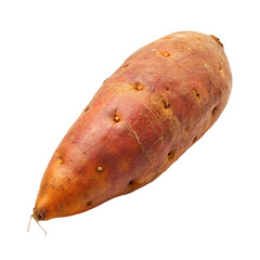 Sweet potato isolated on a transparent background. Ripe sweet potato.