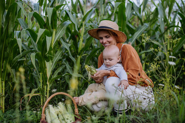 Portrait of female farmer with beautiful baby harvesting corn on the field. - 755141166