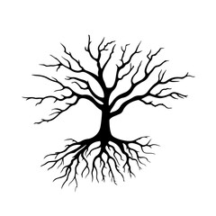 Fototapeta premium Tree with roots