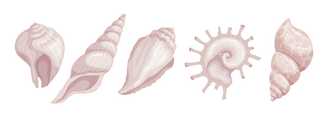 Set of colorful seashells. Vector graphics.