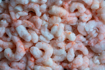 Lots of frozen shrimp for background use, closeup, top view. Seafood on the counter. Fish market. Peeled boiled shrimps