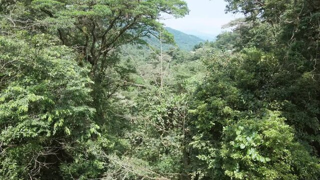 Vista aerea de cascada mistica en Panama