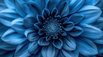 a close up of a blue flower with a white center and a green center in the center of the flower.