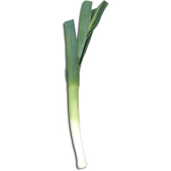An unique concept of leek isolated on plain background , very suitable to use in mostly project.
