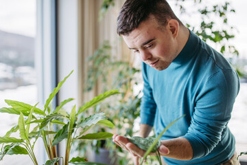 Young man with Down syndrome taking care of indoor plant, carefully touching, snuggling plant leaf.