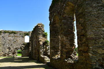 Ruins of Dunbrody Abbey, Dunbrody, Campile, Co Wexford, Ireland