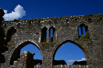Ruins of Dunbrody Abbey, Dunbrody, Campile, Co Wexford, Ireland