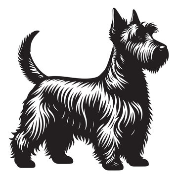 recommend clip art: Scottish Terrier Breed, Scottish Terrier silhouette, Scottie Dog silhouette