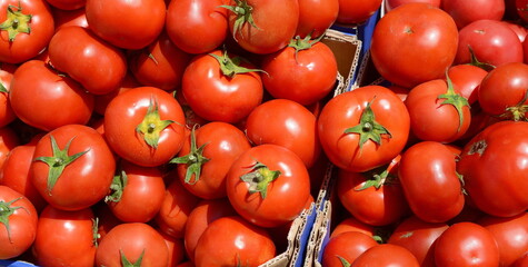 Red tomatoes background. Group of tomatoes. Full frame of cherry tomato on market.