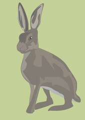  an illustration of a hare - 755167391