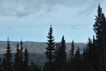 Rocky Mountain Landscapes in Winter