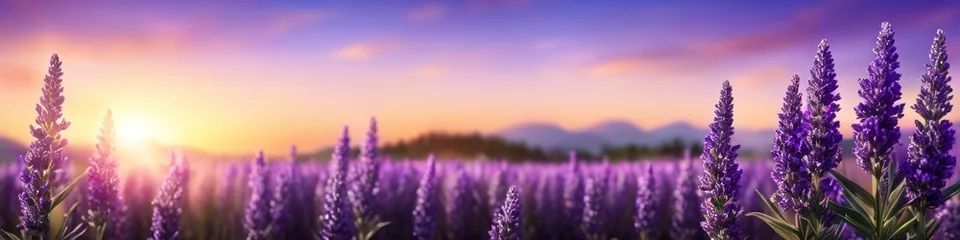 Rolgordijnen Abstract colorful illustration of lavender against purple sunset, ecology theme, blurred background for social media banner design, website and for your design, space for text © La_Valentina