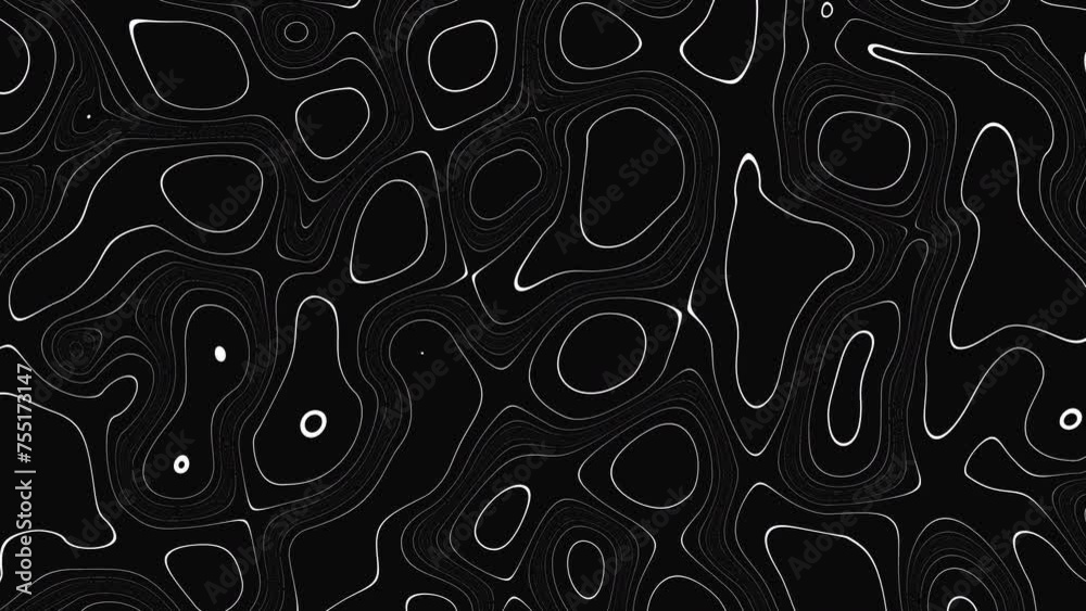 Poster Animated wavy line motion graphic background. Seamless looped Abstract motion graphic, Abstract moving topographic map lines. Moving wavy line striped