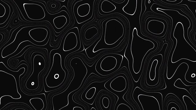 Animated wavy line motion graphic background. Seamless looped Abstract motion graphic, Abstract moving topographic map lines. Moving wavy line striped