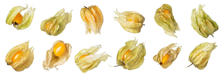 Physalis top view isolated on white background