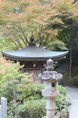Miyajima garden Japan. High quality photo