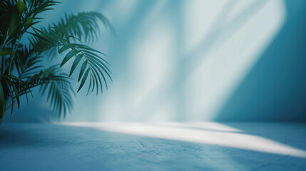 Large leafy plant is sitting in front of blue wall