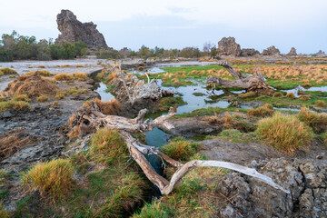 Djibouti, vieuw at the lake Abbe with its rock formations