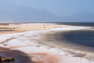Djibouti,  the colourful salt lake Assal part of the Afar Depression.. 